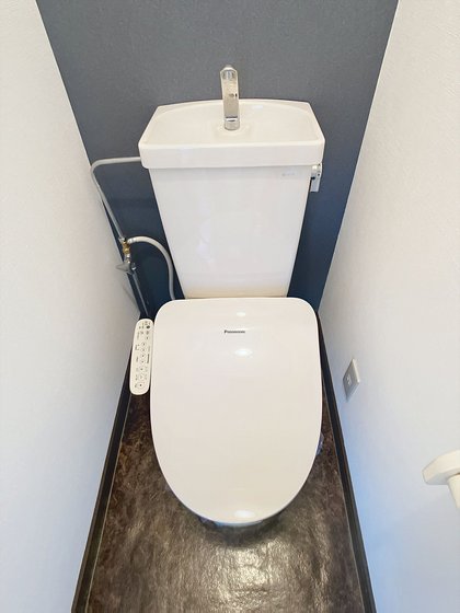 ノースハイツIのトイレ写真