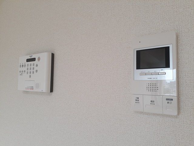 マイリーのその他写真