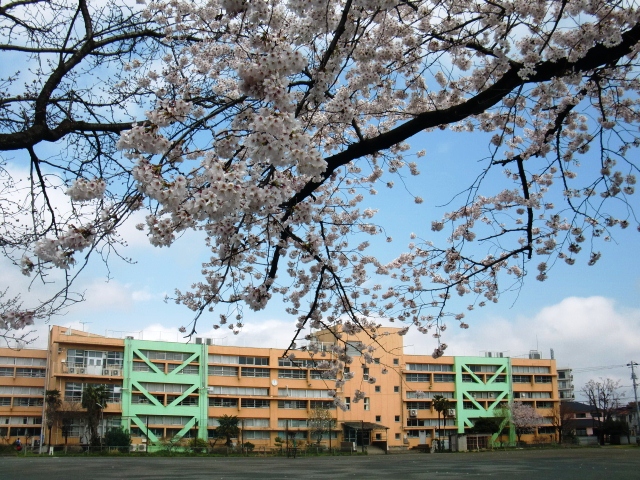 小学校　日野第一小学校（小学校）まで461m