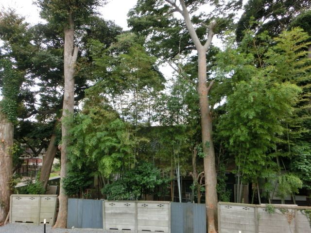 眺望　１階からの眺望です。