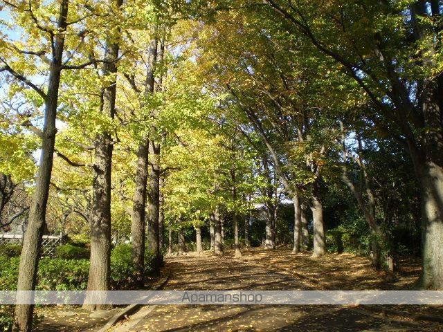 公園　羽根木公園（公園）まで320m