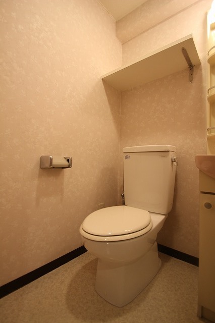 トイレ　同物件、別号室の写真です