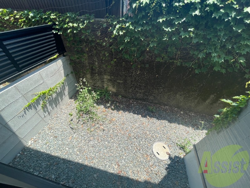 庭