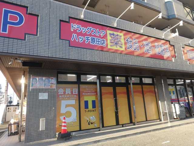 ドラックストア　ドラッグストアハッチ原田店（ドラッグストア）まで338m