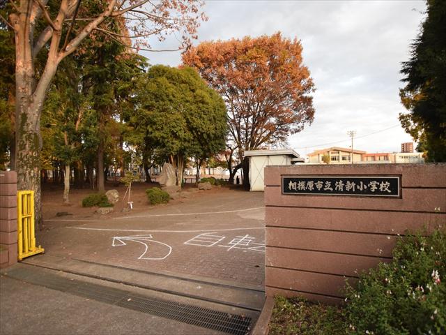 小学校　相模原市立清新小学校（小学校）まで337m