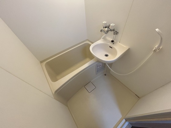 バス・シャワールーム　※別部屋の写真です