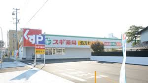 ドラックストア　スギ薬局 鏡島東店（ドラッグストア）まで1166m
