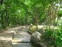 公園　滝野川公園（公園）まで635m