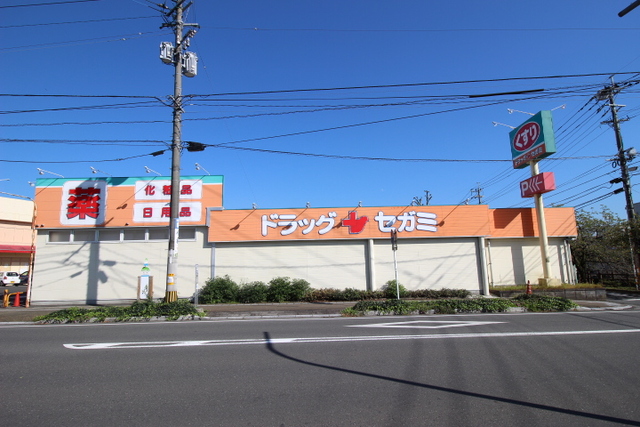 ドラックストア　ドラッグセガミ日田店（ドラッグストア）まで1100m
