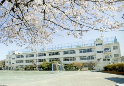 小学校　大田区立蒲田小学校（小学校）まで536m