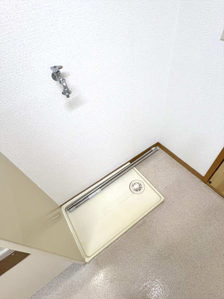 サンモロズミのその他写真