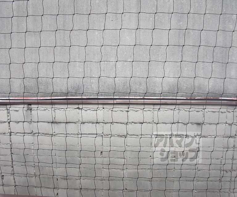 眺望　お隣さんの壁が。。。南向き！