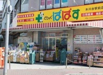 ドラックストア　どらっぐぱぱす氷川台駅前店（ドラッグストア）まで950m