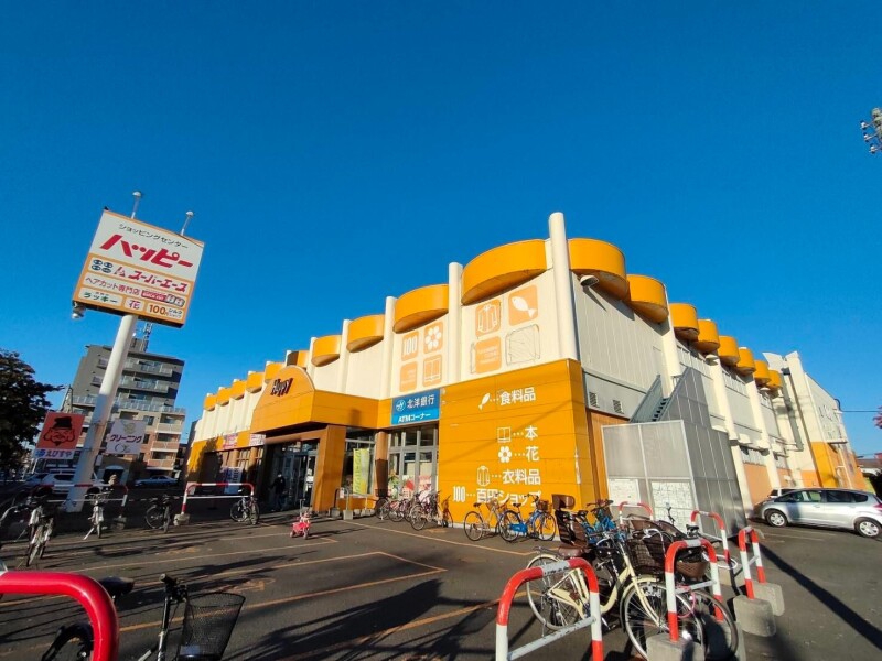 スーパー　スーパーエース北30条店（スーパー）まで101m