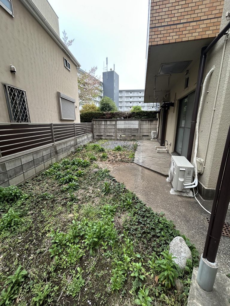 庭