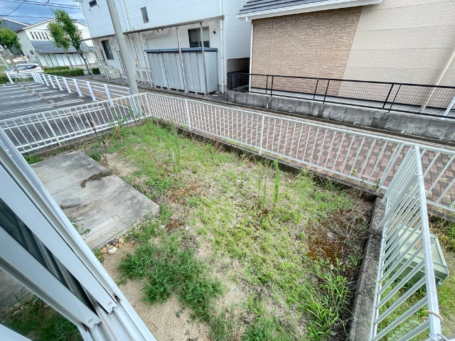 庭