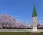 公園　猿江恩賜公園（公園）まで480m