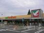 スーパー　ヨークベニマル東大島店（スーパー）まで253m