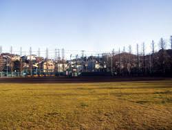 公園　衣笠公園（公園）まで840m