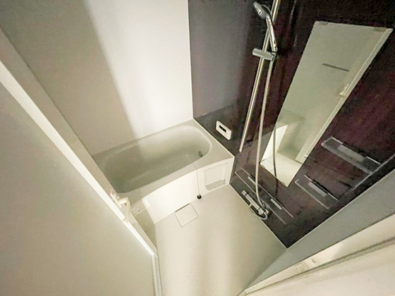 バス・シャワールーム　※別部屋の写真です