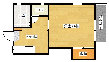 ディアスT2の間取り写真