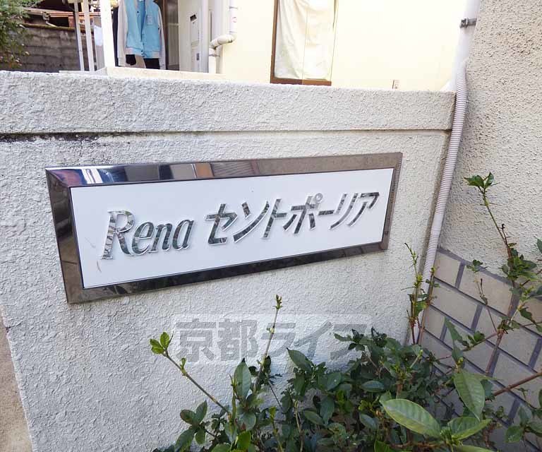 【ＲＥＮＡセントポ－リアのその他】