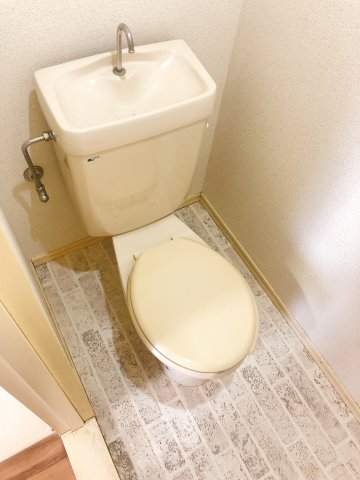 【トラッドハウスAのトイレ】