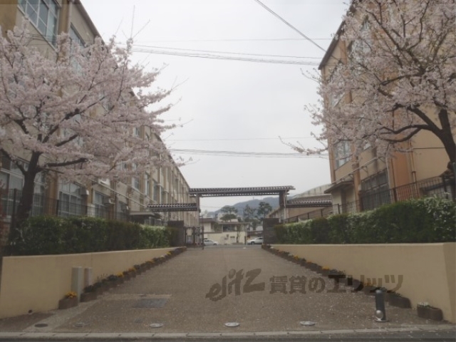 【京都市山科区御陵田山町のマンションの中学校】