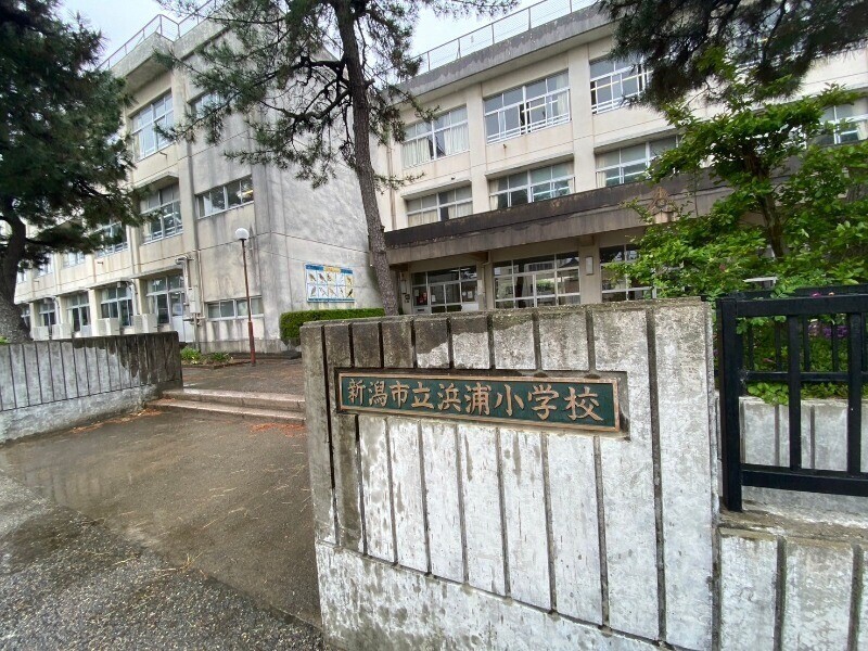 小学校　新潟市立浜浦小学校（小学校）まで829m