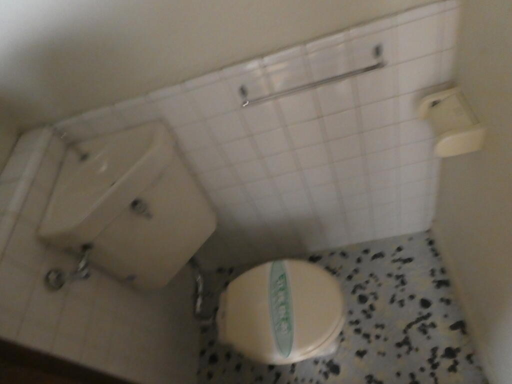 ＪＲ中央線 武蔵境駅 徒歩12分 2階建 築52年のトイレ写真