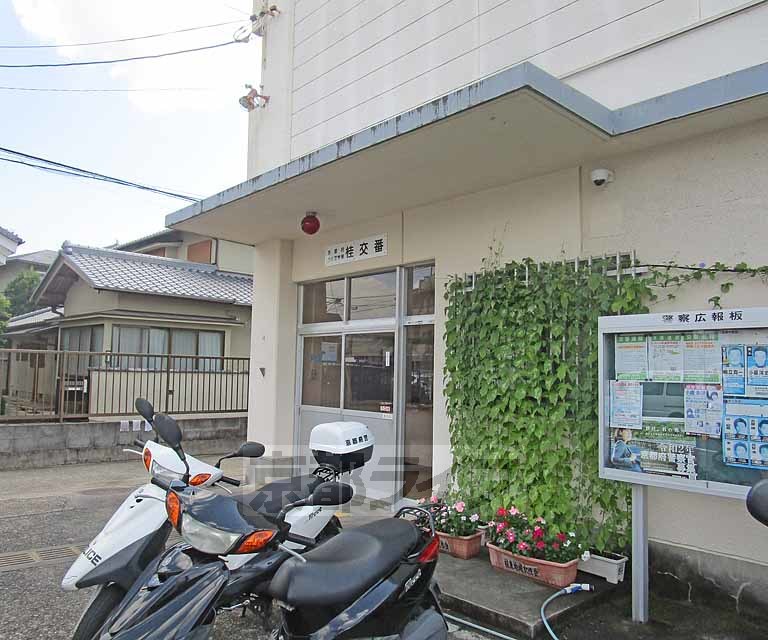 警察署・交番　桂交番（警察署・交番）まで300m