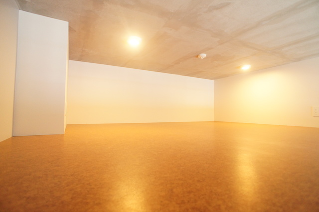 その他　広々ロフト収納付で室内を広くご活用いただけます！