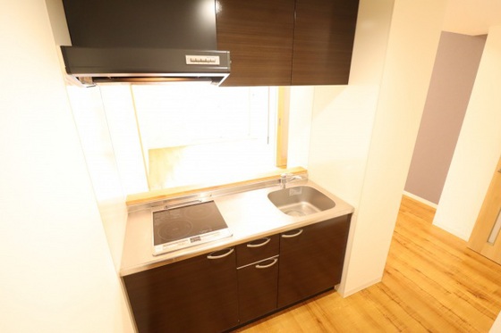 キッチン　※別号室の写真になります。