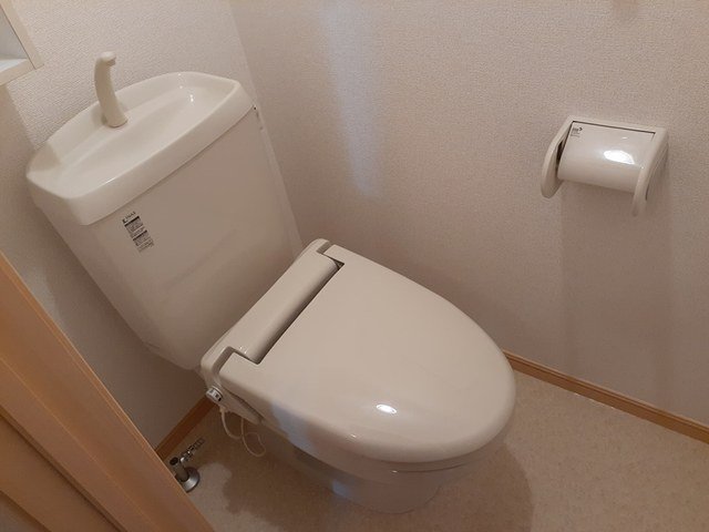 トイレ　トイレです