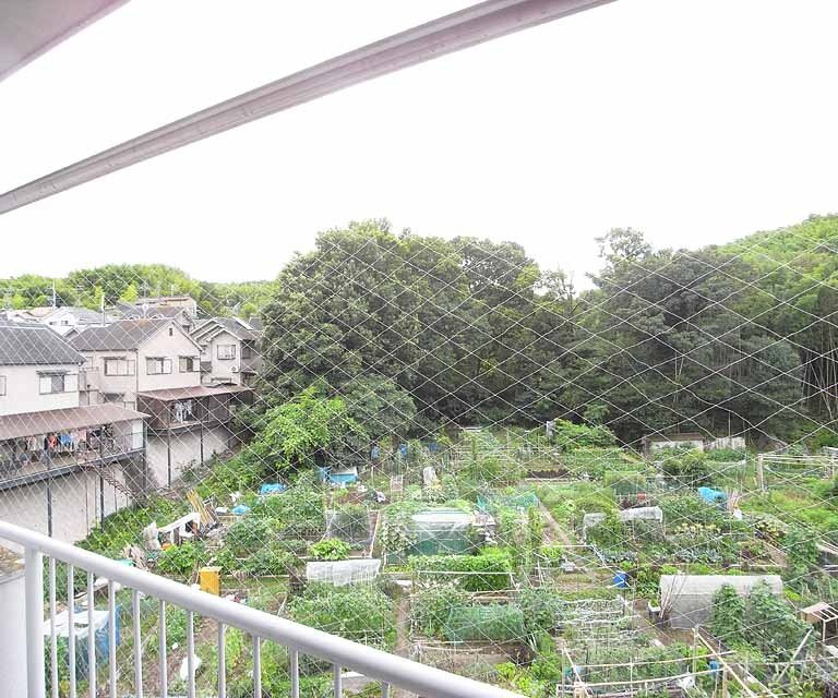 眺望　自然たっぷりです。