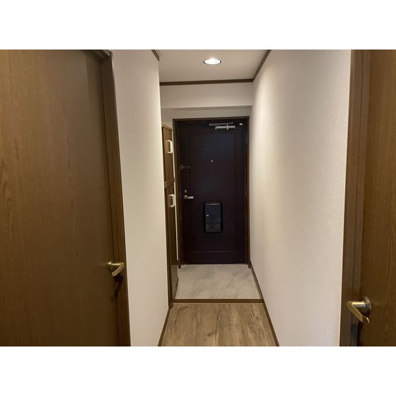玄関　※別部屋写真。現況優先※