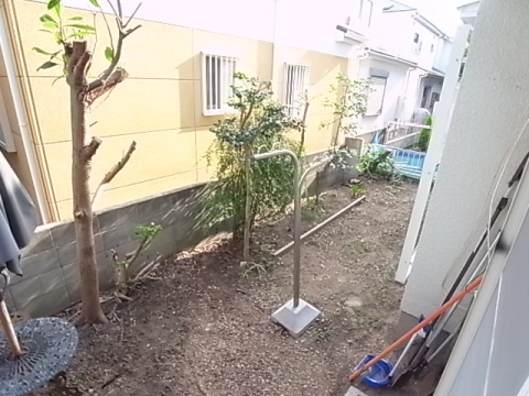 庭