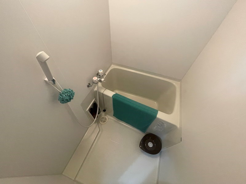 バス・シャワールーム　※同タイプの他のお部屋です