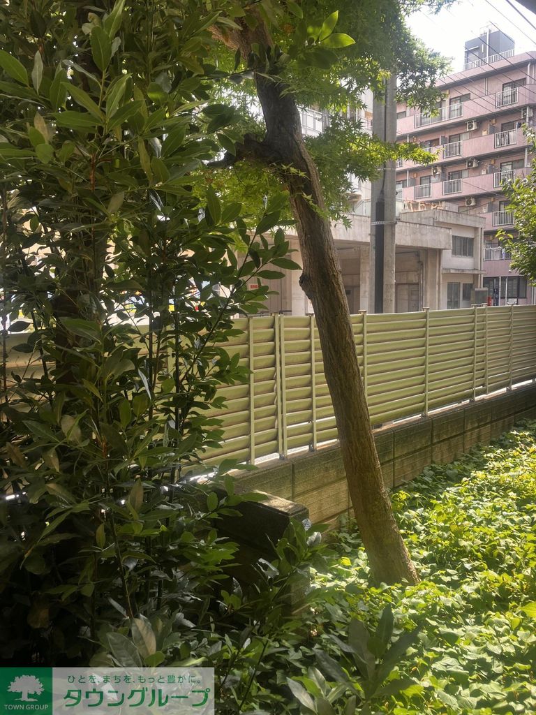 庭