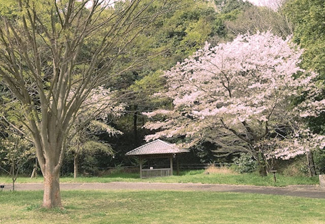 公園　四季の森公園（公園）まで2100m