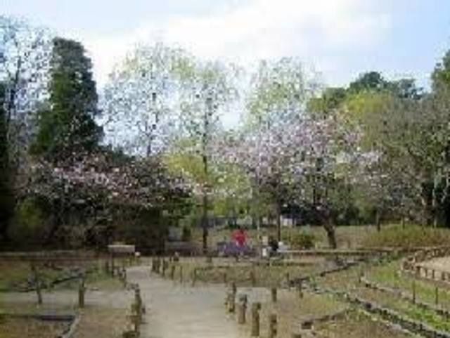 公園　藤崎緑地（公園）まで876m
