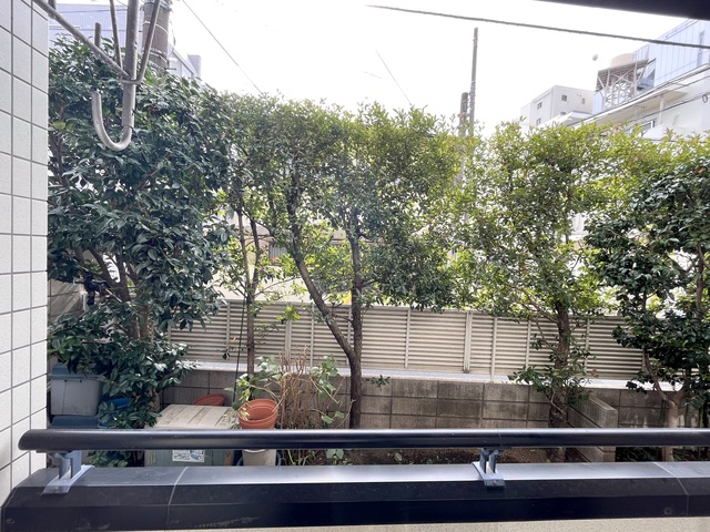 眺望　★眺望★
