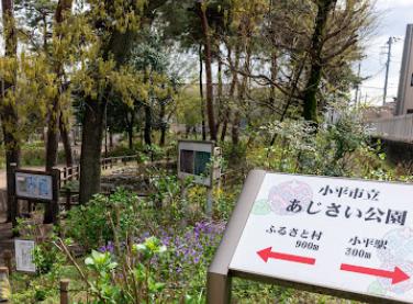 公園　あじさい公園（公園）まで598m