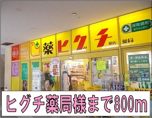 ドラックストア　ヒグチ薬局様（ドラッグストア）まで800m