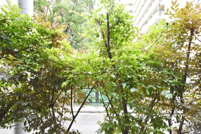リベルテ月島のその他写真