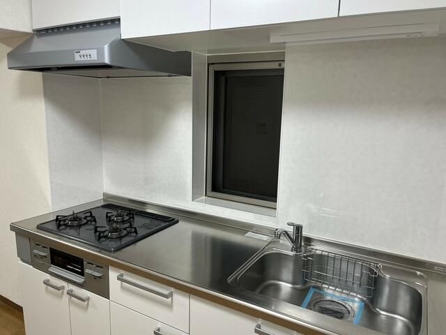 VIPマンションのキッチン写真