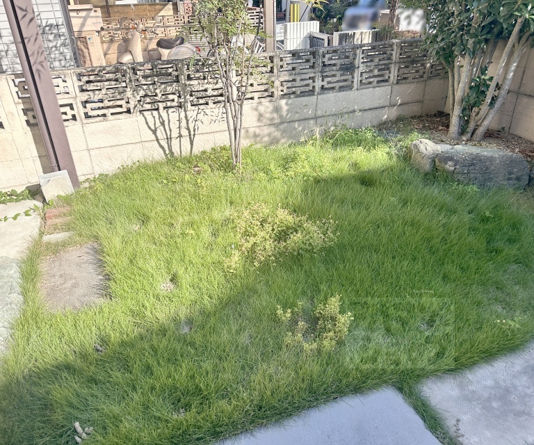 庭