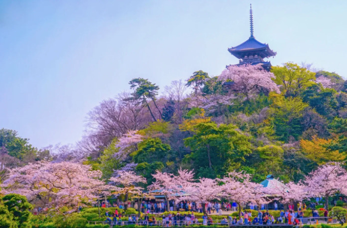 その他　三溪園 正門（その他）まで2674m