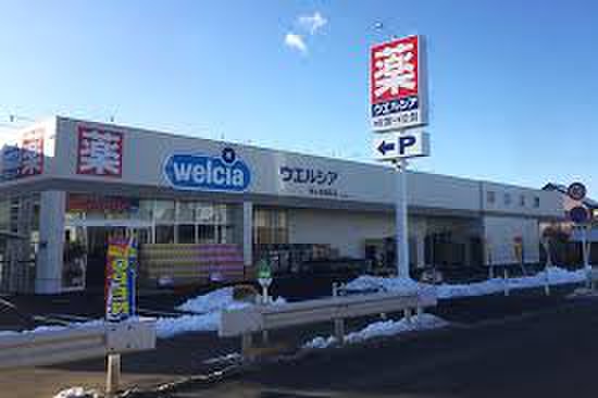ドラックストア　ウエルシア鶴ヶ島新町店（ドラッグストア）まで1000m
