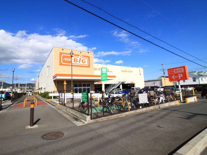 スーパー　The Big(ザ・ビッグ) 平塚真田店（スーパー）まで455m